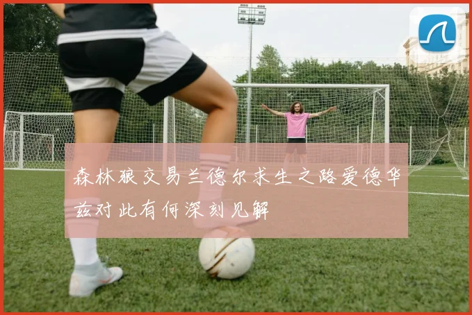 森林狼交易兰德尔求生之路爱德华兹对此有何深刻见解