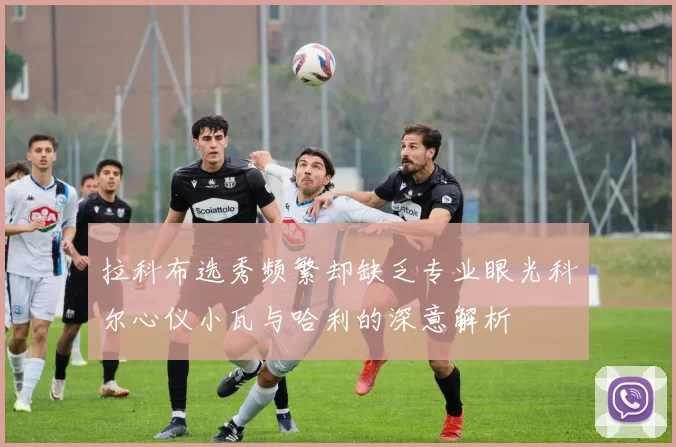 拉科布选秀频繁却缺乏专业眼光科尔心仪小瓦与哈利的深意解析